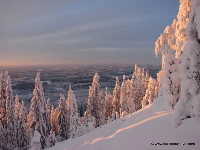 Winter landscape at Koli National Park, Finland