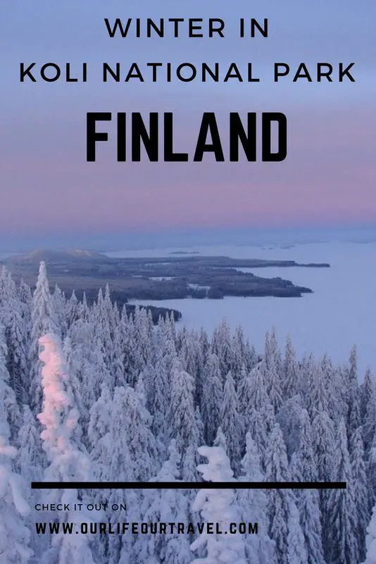 Winter in Koli National Park, Finland