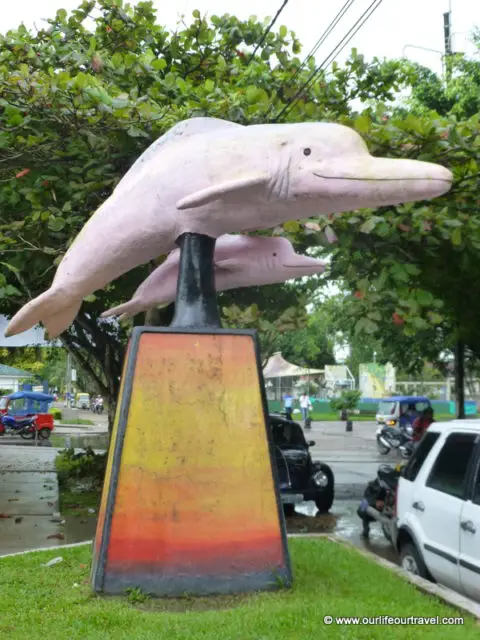 The pink dolphins are also popular here. Leticia, Colombia.