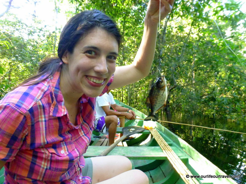 I caught a piranha in the Rio Negro rainforest. Manaus, Brazil.