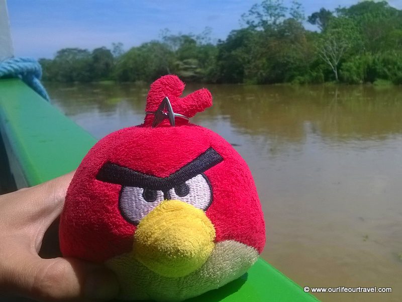 Engagement photo: Birdie and the ring. Tabatinga - Manaus boat ride