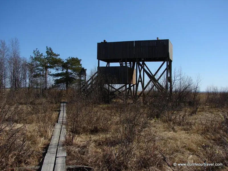 Bird observation tower in the middle of mires and lakes. Finland.