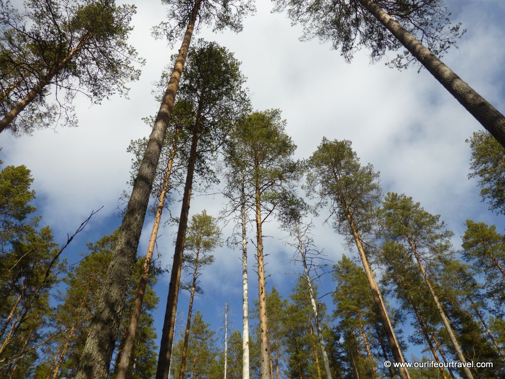 view-2-national-park-petkeljärvi-finland