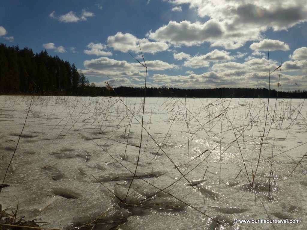 view-lake-4-national-park-petkeljärvi-finland