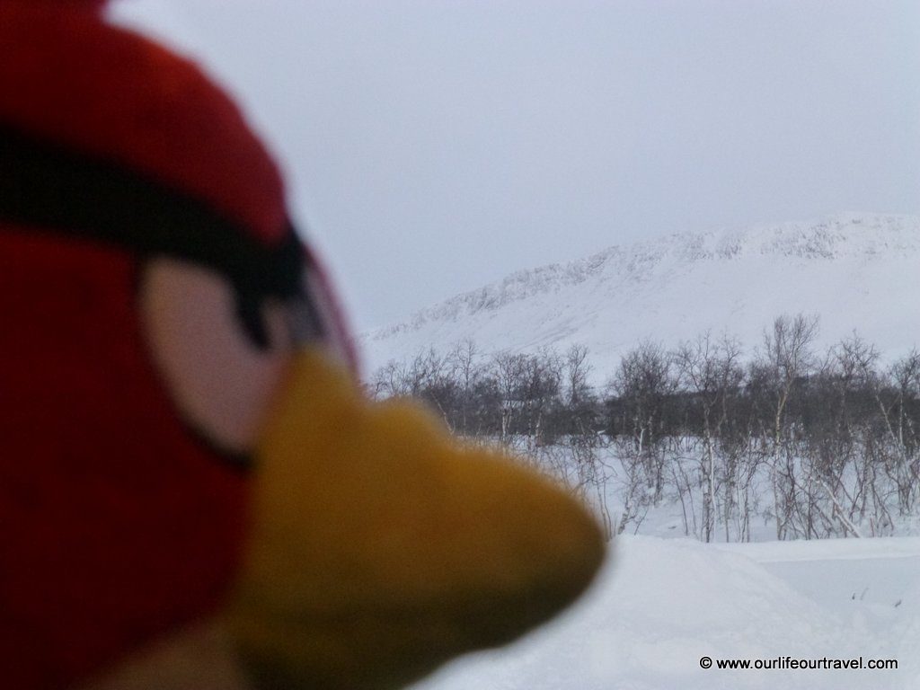 The traveling Birdie on a warm winter day in Lapland, Finland www.ourlifeourtravel.com