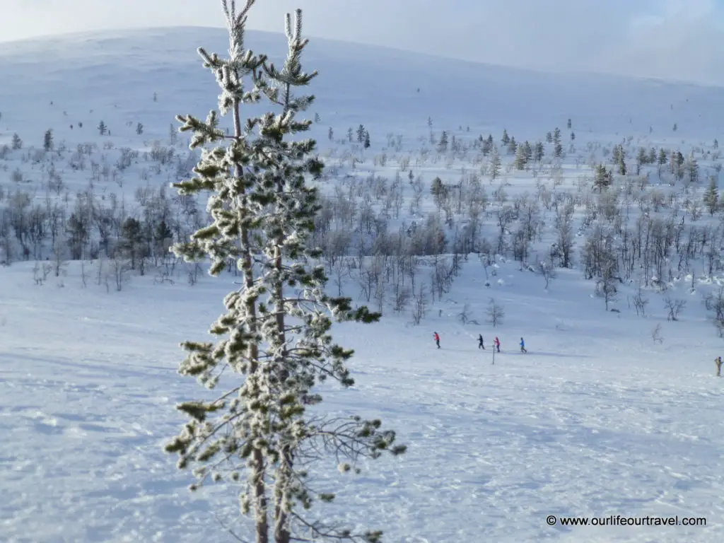 Pallas-Yllästunturi National Park, Lapland, Finland: cross country skiing