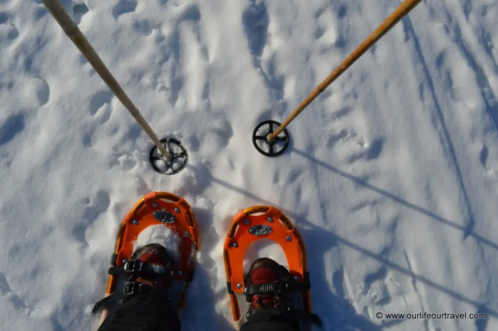 Pallas-Yllästunturi National Park, Lapland, Finland: snowshoeing