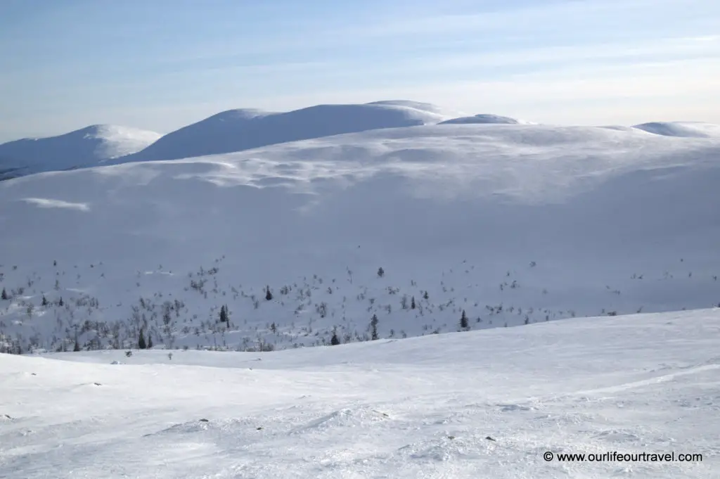 Pallas-Yllästunturi National Park, Lapland, Finland: cross country skiing