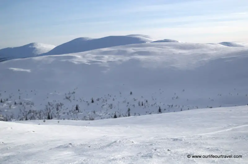 Lapland travel to Pallas-Yllästunturi National Park, Lapland, Finland: cross country skiing