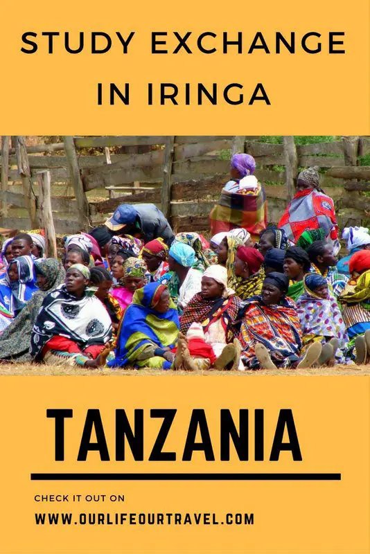 How does a study exchange in Tanzania looks like? What is the university campus like in Iringa? Experiences from my African exchange studies.