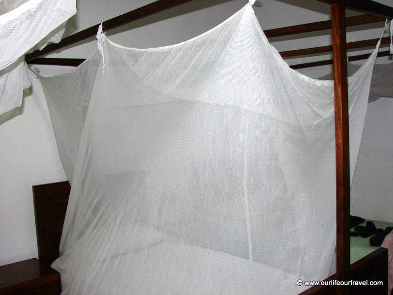 All the beds in the hotel had mosquito nets
