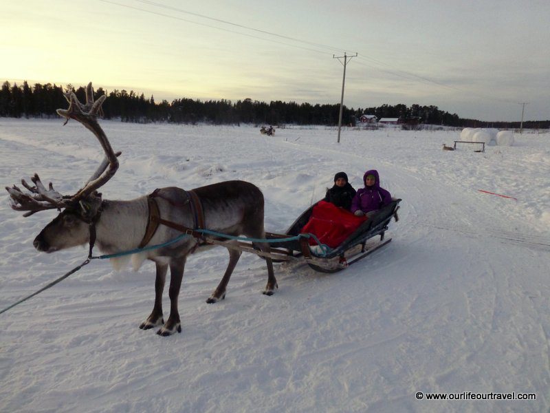 Reindeer Safari in Lapland, Finland