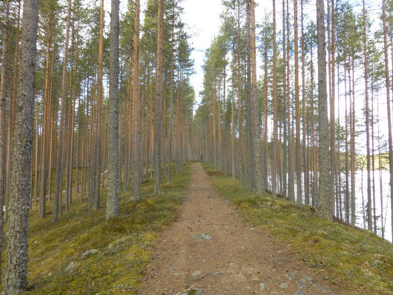 Walking on the ridges between lakes in Petkeljärvi National Park
