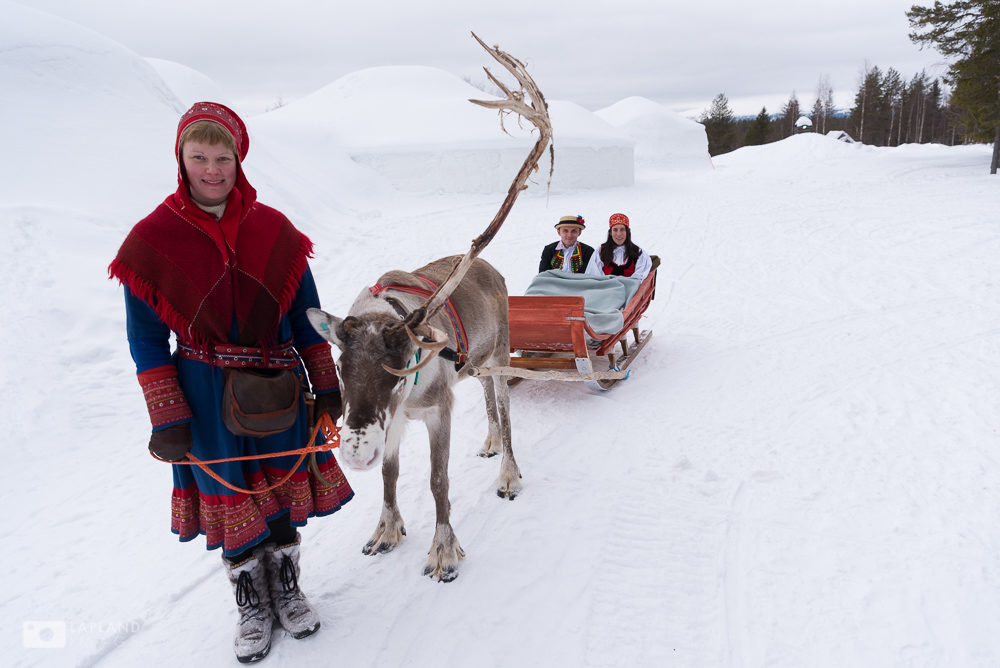 Arrival for the wedding by reindeer Lainio Snow Village, Lapland, Finland