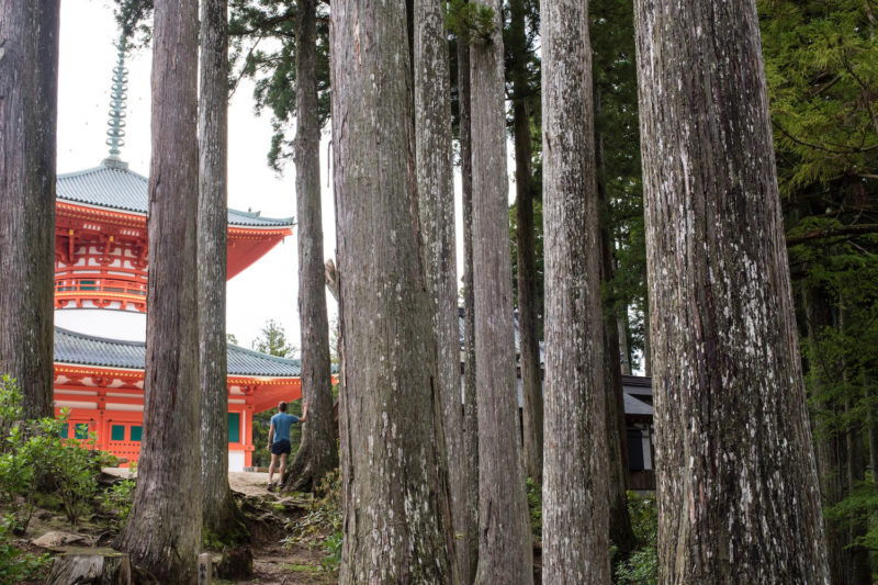 Koyasan Hike, One of the best Hikes in Japan