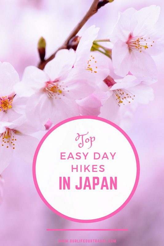 The Top Day Hikes from Japananese Cities | Easy Hikes in Japan | Day Hikes from Tokyo Kyoto Osaka #hiking #hikes #japan #easy
