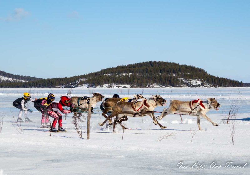 Inari reindeer racing