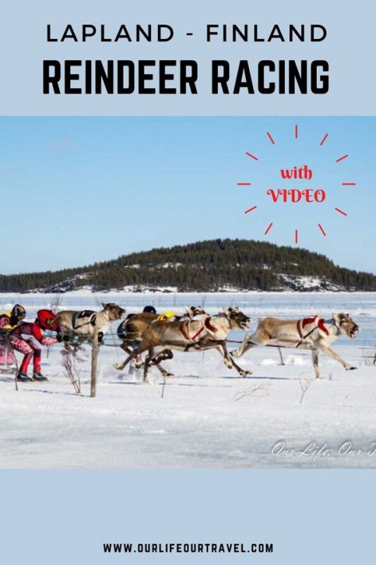 reindeer racing in Finland | reindeer Race Rovaniemi PoroCup