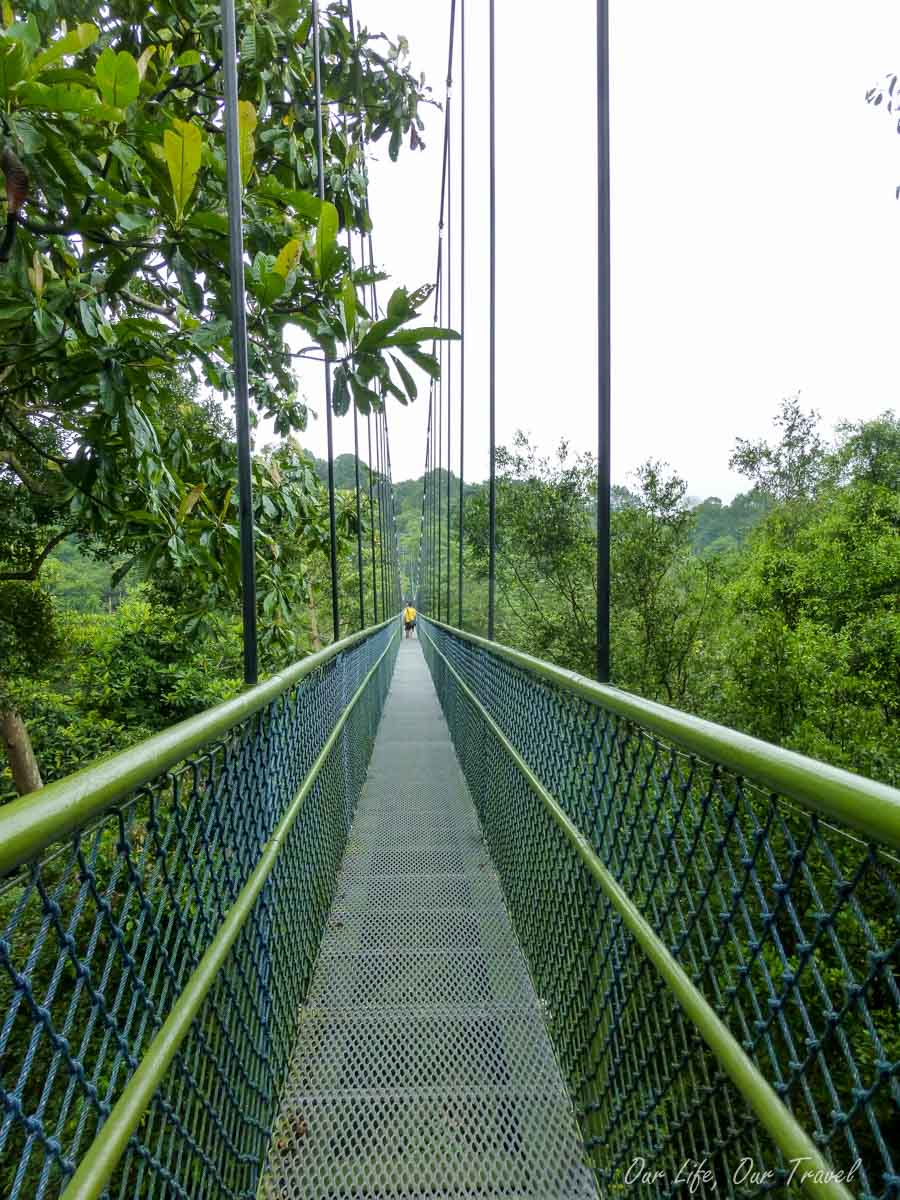 Singapore MacRitchie Reservoir: TreeTop Walk And Other Sights - Our ...