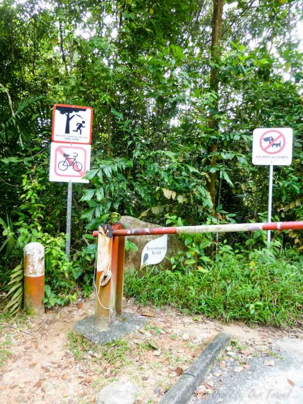 how to get to the MacRitchie Reservoir
